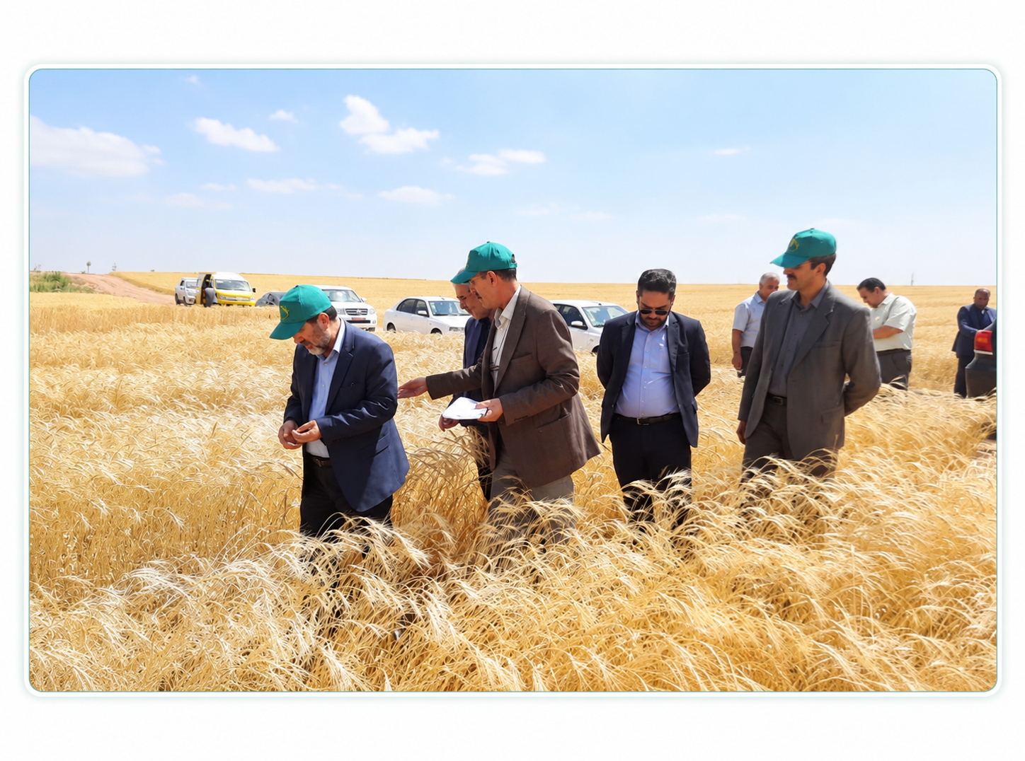 بخش مدیریت منابع