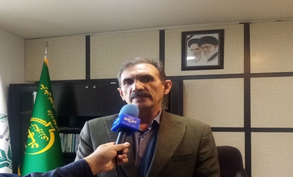 رعایت تاریخ، تراکم بذر و تغذیه کودهای پایه از مؤلفه‌های بسیار مهم و تأثیرگذار بر پایداری تولید غلات دیم