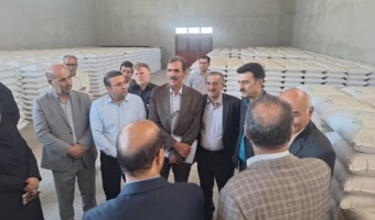 برنامه‌ریزی برای جهش تولید علوفه در اراضی دیم کشور
