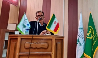 پژوهش، سرمایه‌گذاری بلندمدت برای تأمین امنیت غذایی و تنها راهکار نجات دیم‌زارها از چالش‌های اقلیمی است