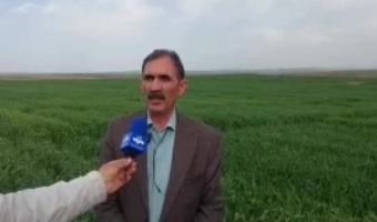 طرح توانمندسازی بهره‌برداران دیم‌زارها از طریق پایگاه‌های نوآوری