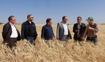 امنیت غذایی کشور در گرو بهره‌گیری از یافته‌های تحقیقاتی مؤسسه دیم است