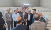برنامه‌ریزی برای جهش تولید علوفه در اراضی دیم کشور