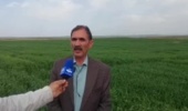 طرح توانمندسازی بهرهبرداران دیمزارها از طریق پایگاههای نوآوری