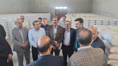 برنامه‌ریزی برای جهش تولید علوفه در اراضی دیم کشور