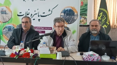 ارقام جدید و بسته‌های زراعی؛ راهکار افزایش بهره‌وری تولید در دیم زارها