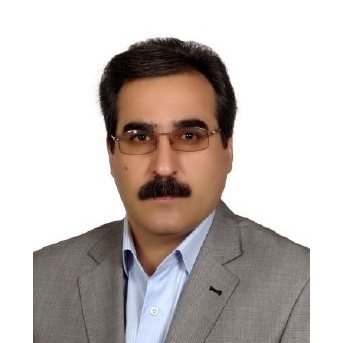 ولی فیضی اصل