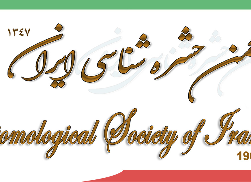 معرفی