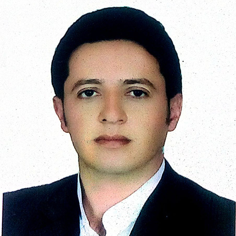 آقای مهندس فردین فیضی