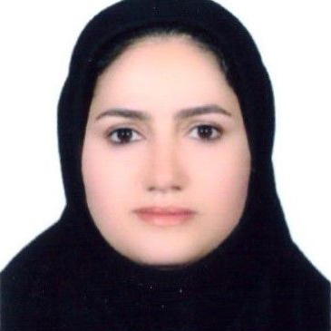 خانم مهندس مریم محمودی