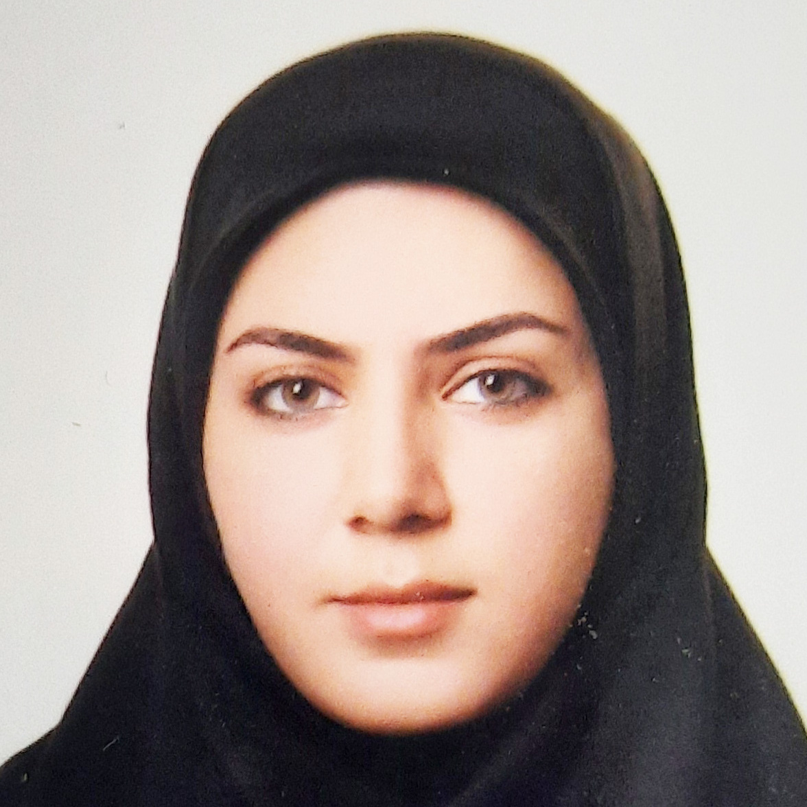 خانم مهندس مینا حجازی