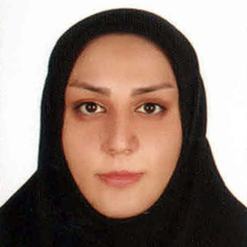 خانم مهندس مریم خانقلی‌نیا