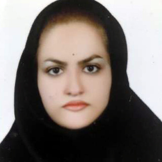 خانم مهندس زهرا جودکی