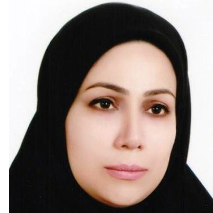 خانم مهندس مریم برزکار