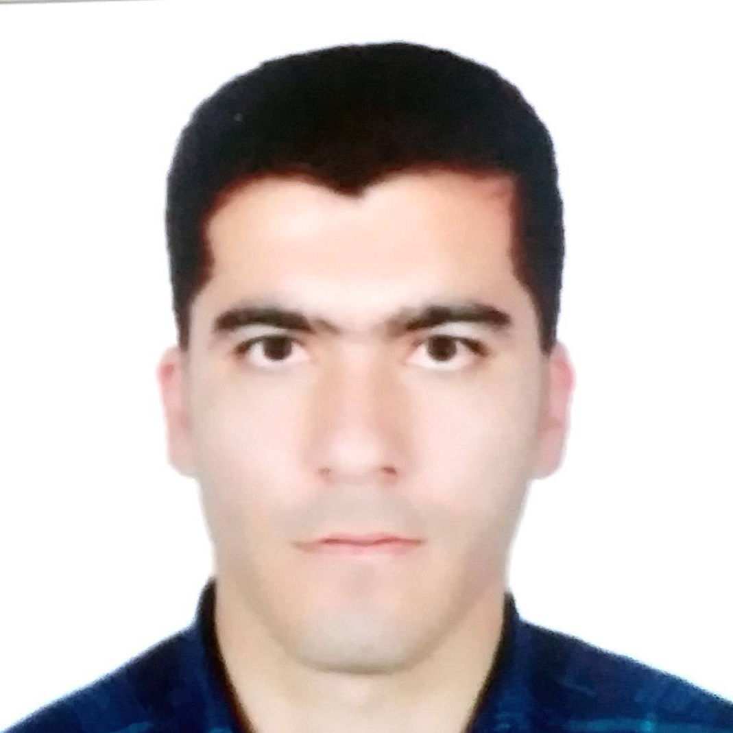 آقای مهندس حسن انصاری شیری