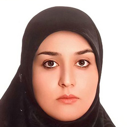 خانم مهندس مهدیه همتی