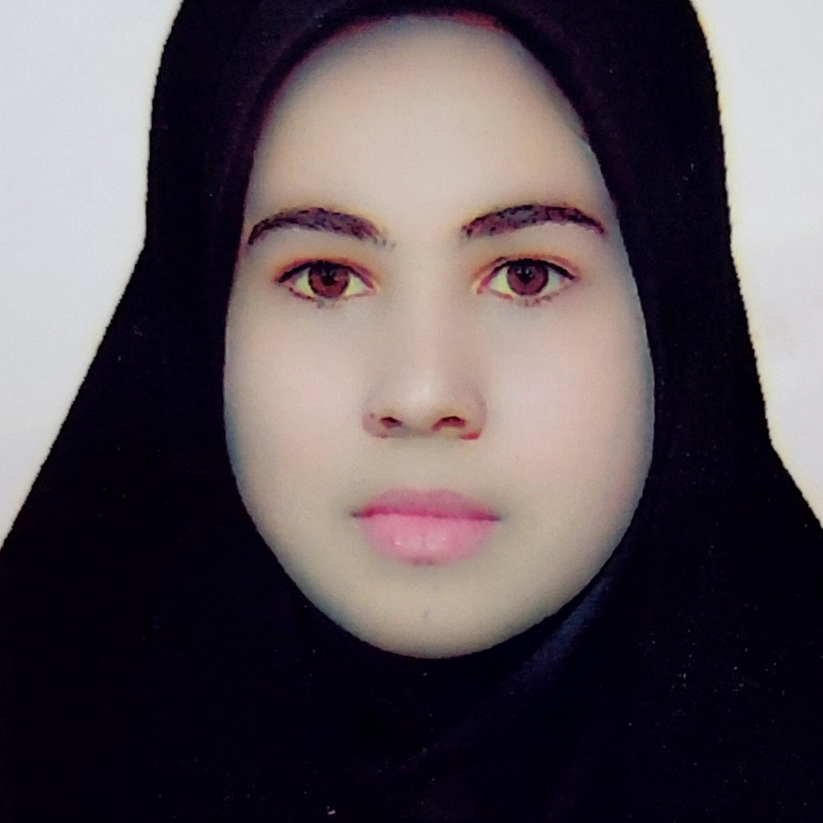 خانم مهندس نگین اموری