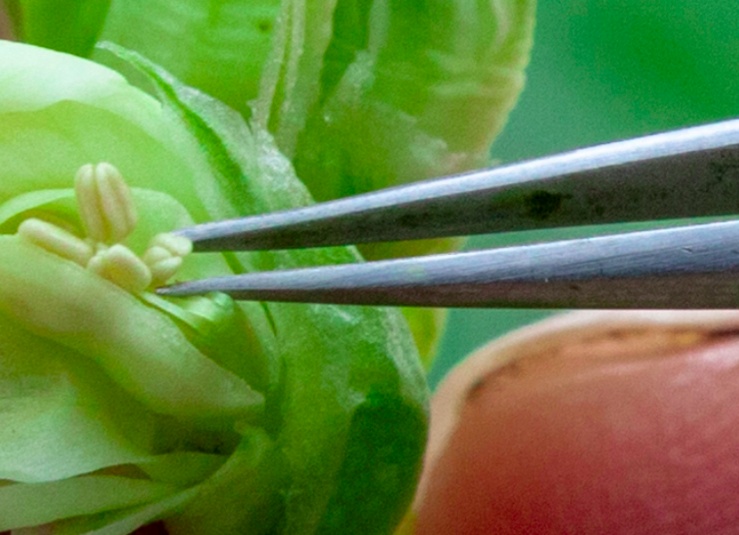 اسلایدر صفحه اصلی سایت