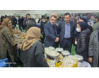 برگزاری نمایشگاه «روز درهای باز» خانواده تات گلستان در مرکز تحقیقات و آموزش گلستان