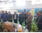 برگزاری نمایشگاه «روز درهای باز» خانواده تات گلستان در مرکز تحقیقات و آموزش گلستان