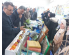 برگزاری نمایشگاه «روز درهای باز» خانواده تات گلستان در مرکز تحقیقات و آموزش گلستان