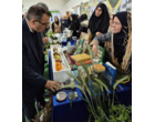 برگزاری نمایشگاه «روز درهای باز» خانواده تات گلستان در مرکز تحقیقات و آموزش گلستان