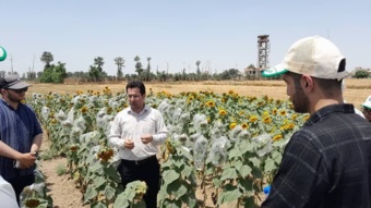 بازدید علمی دانشجویان علوم کشاورزی و منابع طبیعی گرگان از پروژه‌ها و آزمایشات ایستگاه ملی تحقیقات کشاورزی و تولید بذر دیم گنبدکاووس