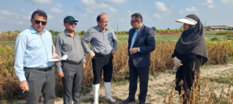 بازدید قائم‌مقام معاونت پژوهشی سازمان تات از طرح‌های تحقیقاتی سویا در ایستگاه گرگان