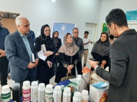 مدیر کل دفتر امور فناوری سازمان تات از نمایشگاه دستاوردهای دانش‌بنیان کشاورزی گلستان بازدید کرد