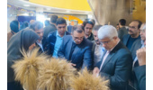 حضور پررنگ مرکز تحقیقات کشاورزی گلستان در بیست‌وششمین نمایشگاه دستاوردهای پژوهش و فناوری