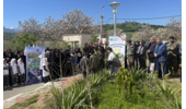 برگزاری پویش ملی نهالکاری «سرو ایران» در شهرستان گرگان