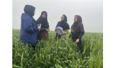 نظارت تخصصی بر طرح نوین «کودآبیاری» در علیآباد کتول توسط محقق مرکز تحقیقات و آموزش کشاورزی