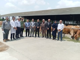 بازدید رئیس مرکز تحقیقات و آموزش گلستان از گاوداری صنعتی هم‌زمان با اولین رویداد ملی روز درهای باز کشاورزی