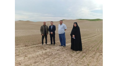بازدید میدانی محققین مرکز تحقیقات و آموزش کشاورزی گلستان از مزارع زیره سبز در شهرستان گنبد