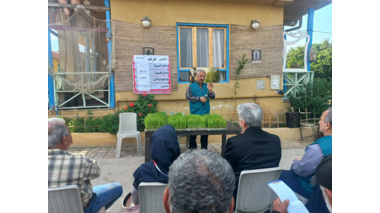 راهکار نجات مصرف آب در شالیزارها؛ امکان صرفه‌جویی ۴۰ درصدی با کشت مستقیم برنج