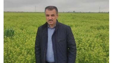 کشت ۷ هزار هکتاری «کاملینا» در اراضی شور گلستان/ ایستگاه تحقیقاتی گنبد به قطب تولید بذر کشور تبدیل شود
