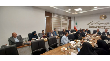 باقلای بدون تانن؛ راهکاری راهبُردی برای جایگزینی ۲۰ درصدی نهاده‌های وارداتی در صنعت طیور