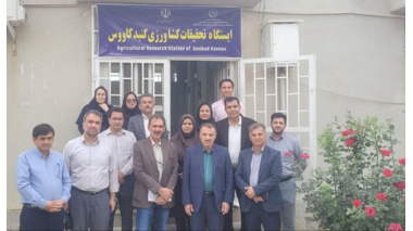 تحول در تولید هسته‌های بذری کشور/ بازدید رئیس مؤسسه تحقیقات دیم کشور از ایستگاه ملی تحقیقات کشاورزی گنبدکاووس