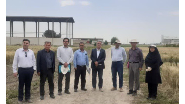 بازدید رئیس مؤسسه تحقیقات اصلاح و تهیه نهال و بذر کشور از ایستگاه ملی تحقیقات کشاورزی گنبدکاووس