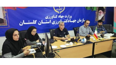 برگزاری دوره آموزشی مهارتی ارقام پکان و مدیریت بیماری‌های آن