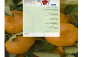 خدمات الکترونیک