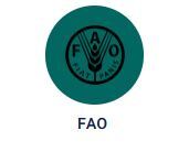 FAO