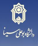 دانشگاه بوعلی سینا همدان