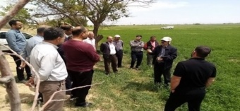 برگزاری دوره آموزشی تغذیه و برداشت یونجه در شهرستان فامنین