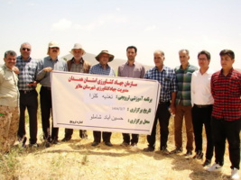 برگزاری حضور میدانی محققان معین با محوریت تغذیه و داشت کلزا در شهرستان ملایر