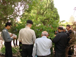 برگزاری دوره آموزشی پیوند درختان میوه در همدان