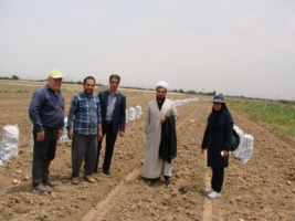 برگزاری کلاس آموزشی مدیریت بیماری‌ها و علف‌های هرز سیب‌زمینی در مزارع شهرستان بهار