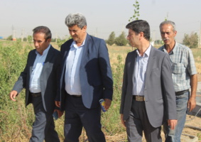 افتتاح پروژه پرورش ماهی قزل آلا در ایستگاه تحقیقاتی اکباتان با مشارکت بخش خصوصی