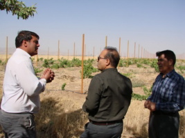 برگزاری کلاس آموزشی کاشت ، داشت و برداشت محصول انگور در شهرستان رزن