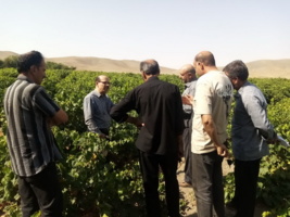 برگزاری دوره آموزشی تخصصی “تغذیه باغات انگور” در ملایر